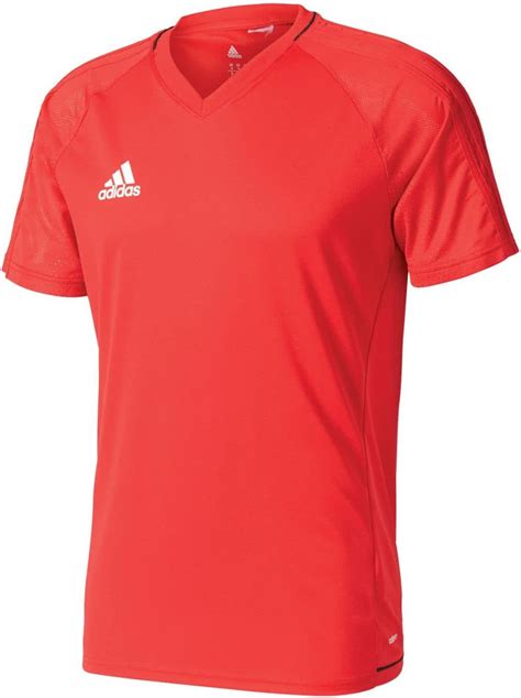 adidas Herren Trainingshose Tiro17 : Amazon.de: Fashion